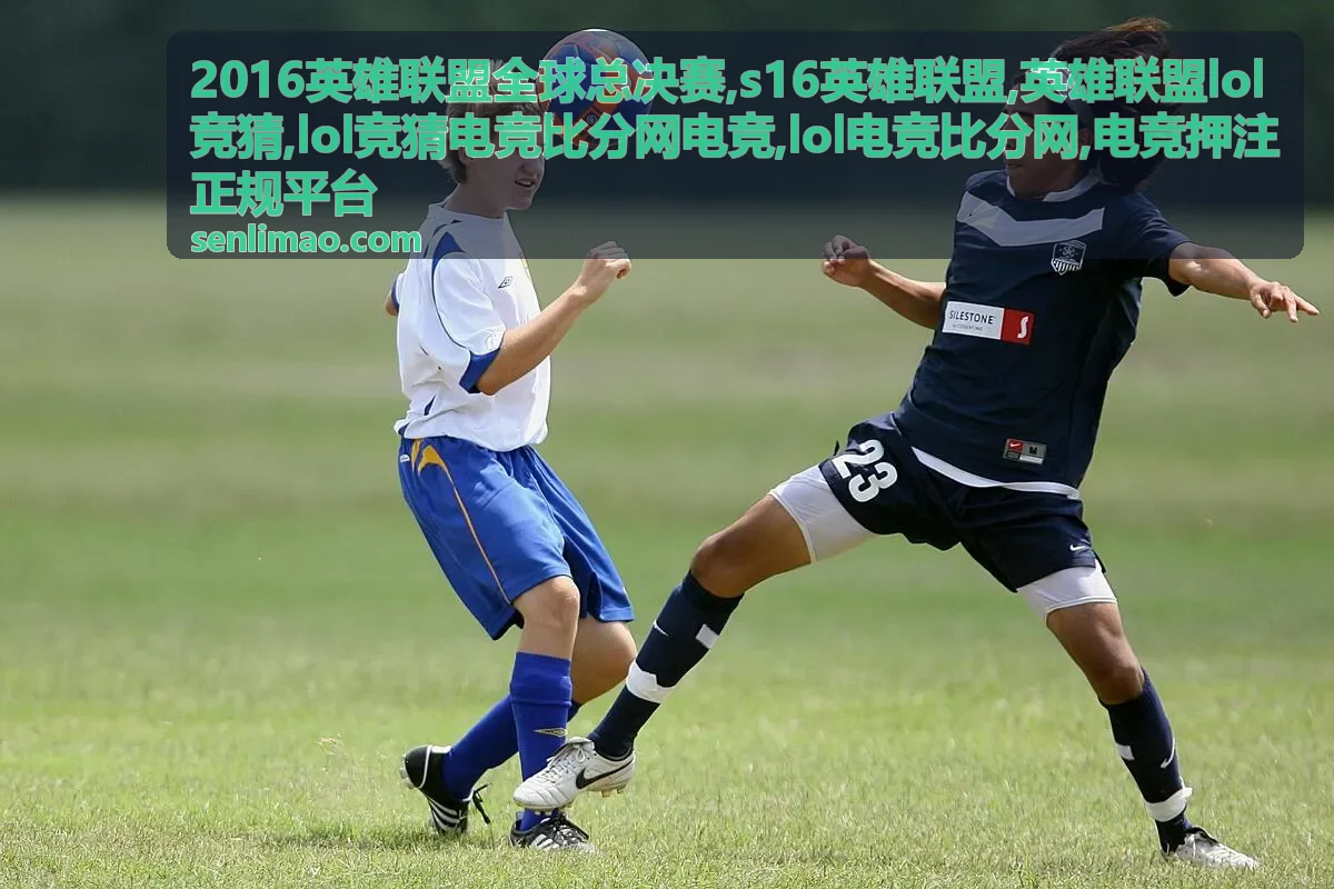 电竞押注正规平台 规则说明与风险提示封面